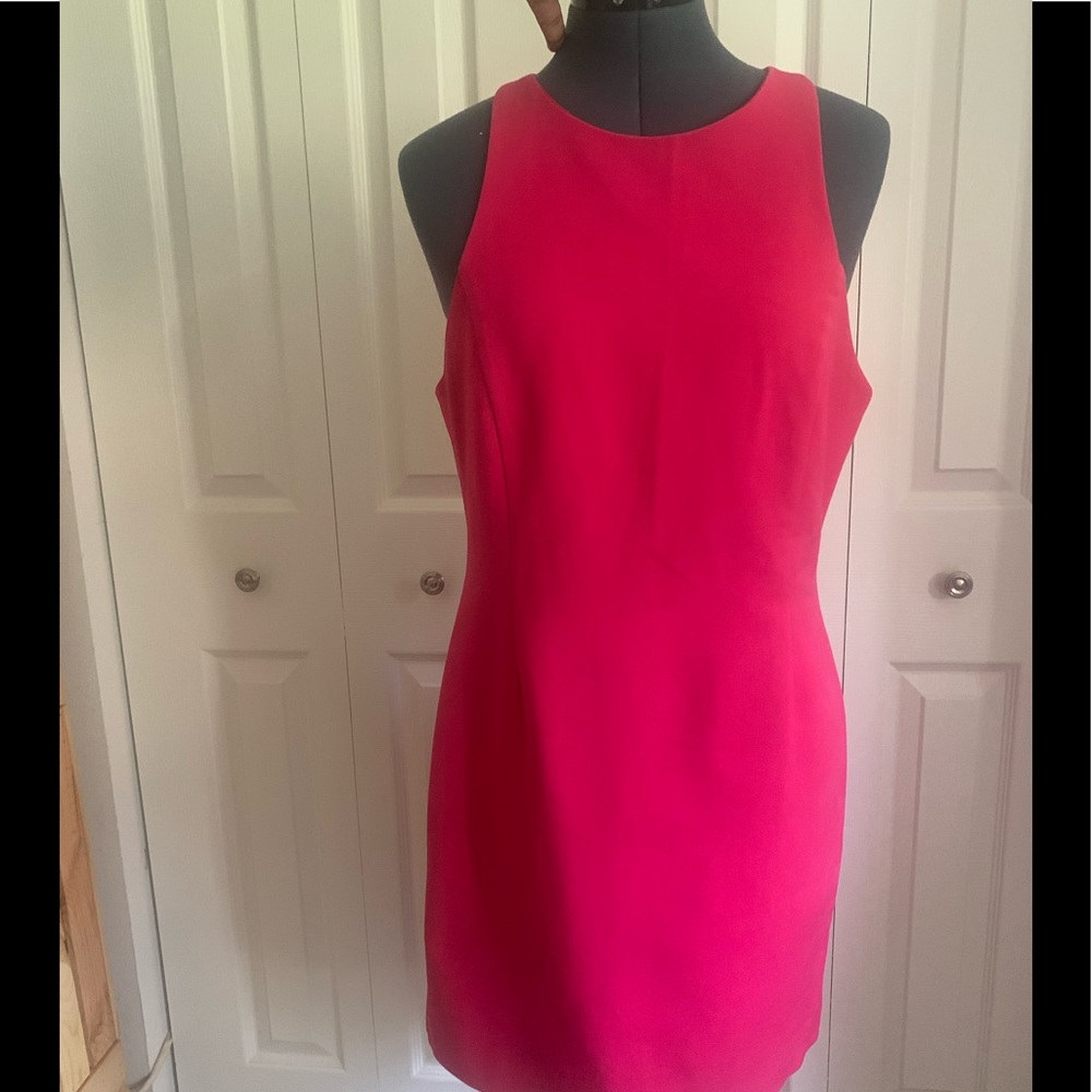 Zara Basic Pink Somewhat Racerback Dress